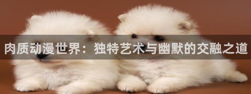 178动漫之家官网