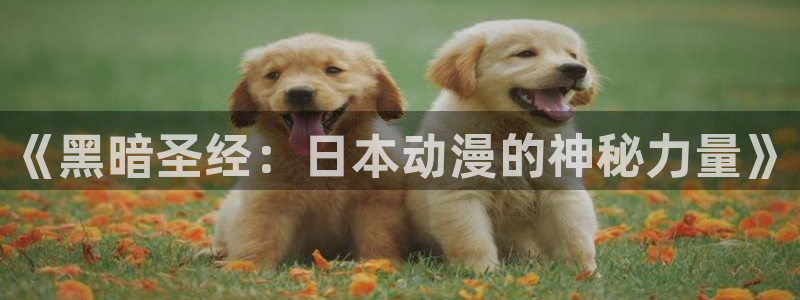 78动漫打不开了：《黑暗圣经：日本动漫的神秘力量》